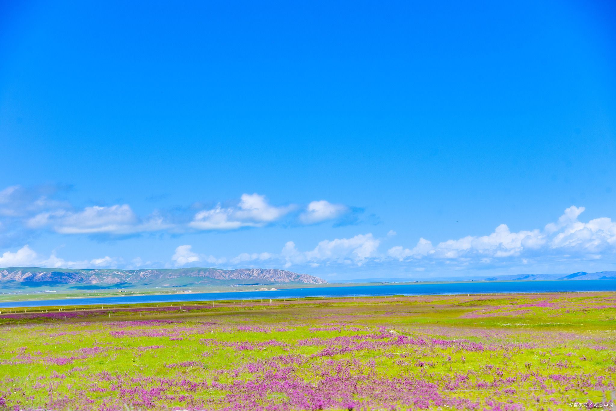 西宁旅游必去十大景点有虎头山景区吗